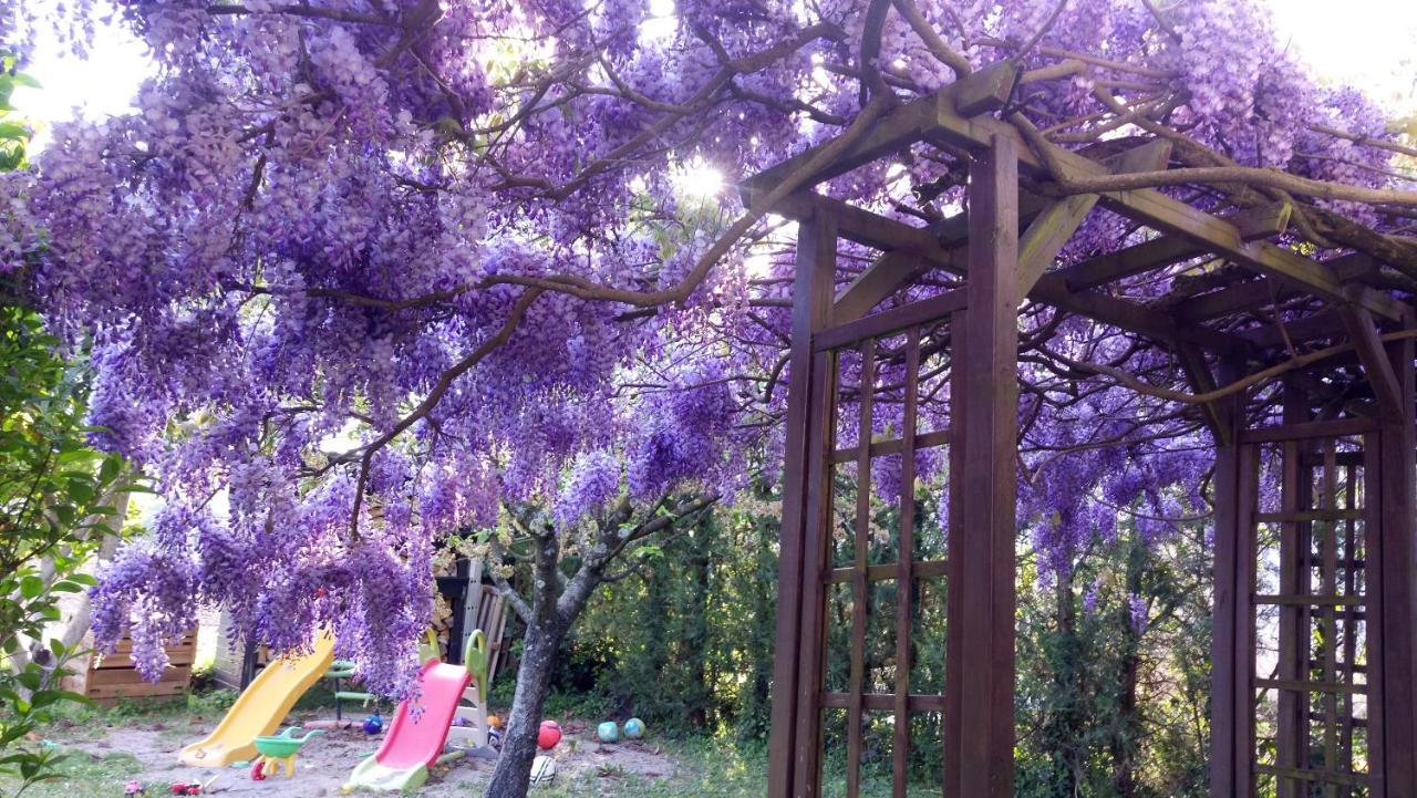 Les Champs Dores Noyarey Dış mekan fotoğraf